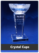 corporate-awards-page-tn-crystalcups.jpg