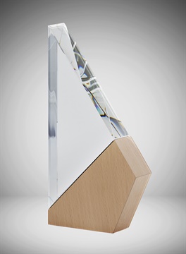 1290e_discount-corporate-crystal-awards-trophies.jpg