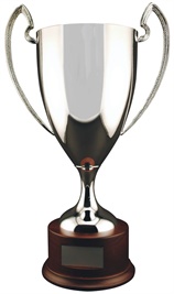 234_WT_Metal_Trophy_Cup.jpg