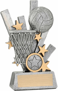 28391a_discount-netball-trophies.jpg