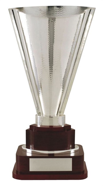 428_Metal_Trophy_Cup.jpg