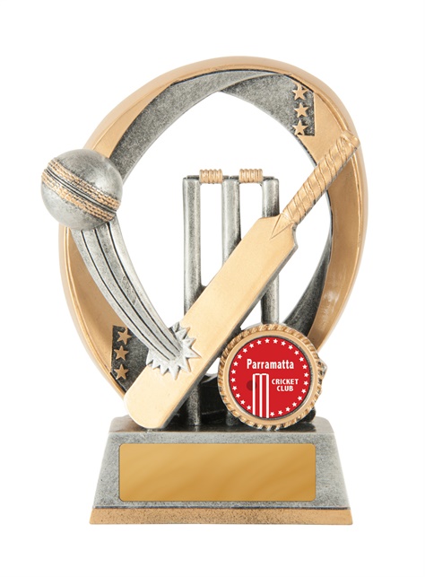 613-1a_discount-cricket-trophies.jpg