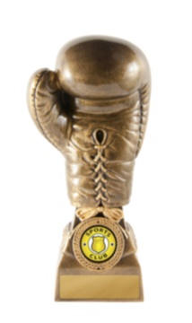 640-32a_discount-boxing-trophies.jpg