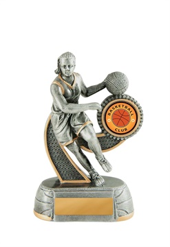 658-7fa_discount-basketball-trophies.jpg