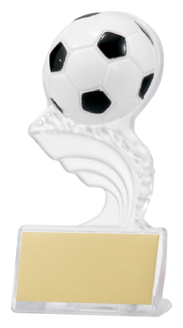 97080_soccer-trophies.jpg