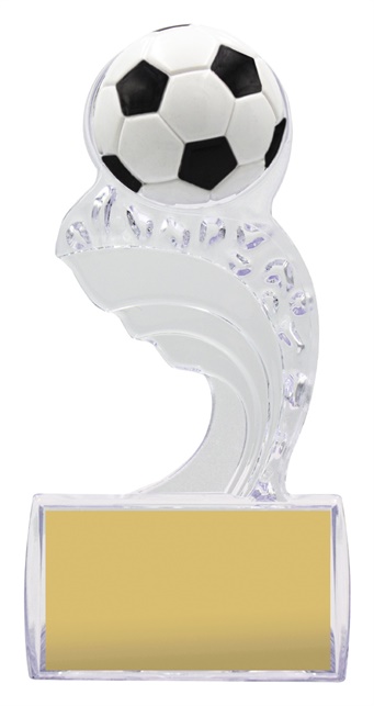 97080_soccer-trophies.jpg