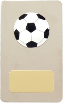9938_soccer-discount-trophies.jpg