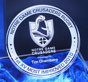 CM90_1CrystalMedallion.jpg