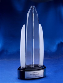 asp-crystal-awards-championandrunnerup.jpg