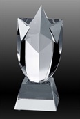 OCMS_1RikaroCrystalTrophy.jpg