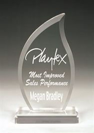 aa3861_acrylic-award-reiv.jpg
