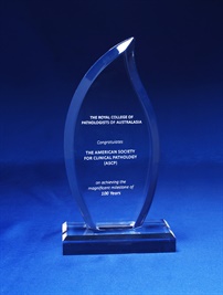 aa3861_acrylic-award-reiv.jpg