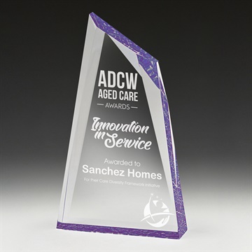 ac178_discount-acrylic-awards-trophies.jpg