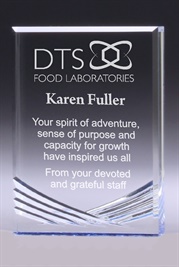 ac193_acrylic-corporate-trophies-awards(2).jpg
