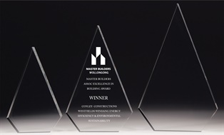 ac60b_acrylic-trophy-halgroup.jpg