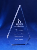 ac60b_acrylic-trophy-halgroup.jpg