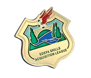 badge-enamel-1_sdsf-1.jpg