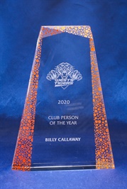 bct0102-l_crystal-multi-facet-award_bravo-cr-1.jpg