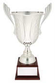 c0257_discount-general-sports-trophies.jpg