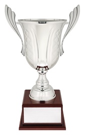 c0257_discount-general-sports-trophies.jpg