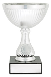 c0308_discount-general-sports-trophies.jpg