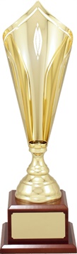 c5009_quality-metal-trophy-cups.jpg