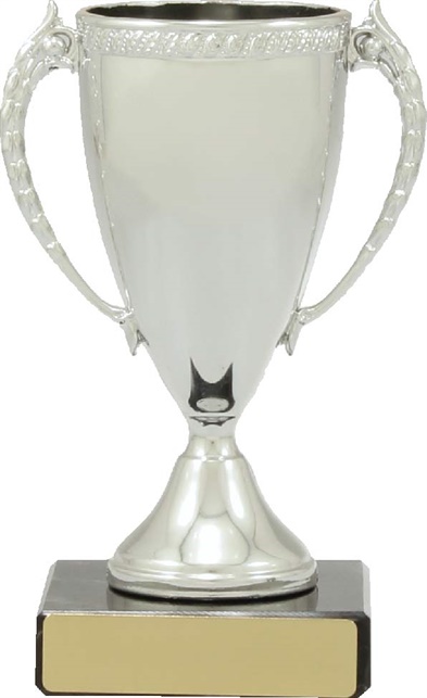c8077_discount-cups-trophies.jpg