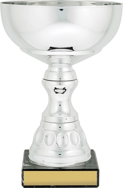 c8135_discount-cups-trophies.jpg