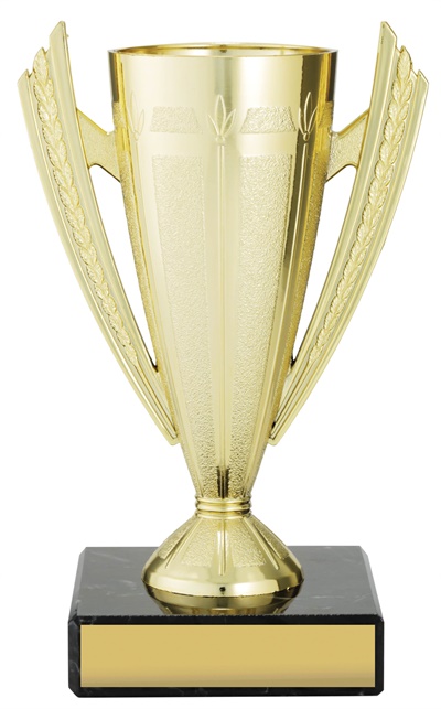 c9004_discount-cups-trophies.jpg