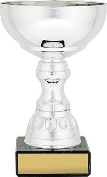 c9164_discount-cups-trophies.jpg