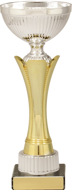 c9230_discount-cups-trophies.jpg