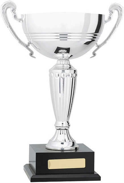 c9293_discount-cups-trophies.jpg