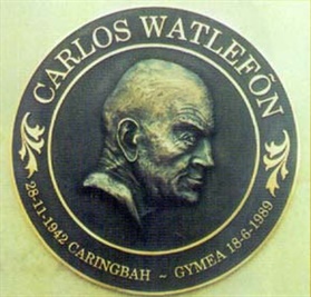 cast-bronze-plaque_montenegro-park.jpg