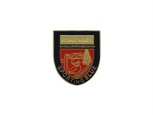 badge-enamel-1_sdsf-1.jpg