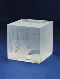 cube-f_optical_crystal_full_frosted_cube-2.jpg
