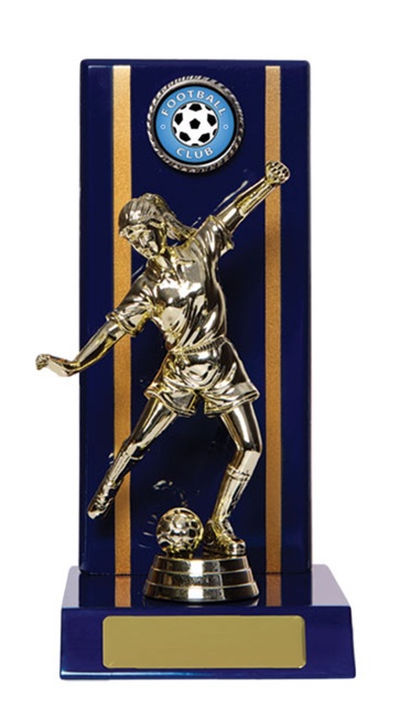 f18-2511_discount-football-soccer-trophies.jpg