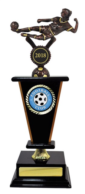 f18-2808_discount-football-soccer-trophies.jpg