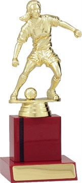 f7109_discount-soccer-and-football-trophies.jpg