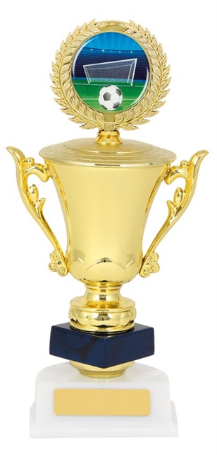 fbt267_soccer-trophies.jpg