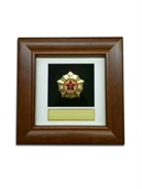frame-plaque_timber-award-frame-plaque-1.jpg