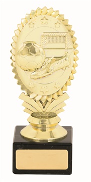 ftg678_discount-soccer-and-football-trophies.jpg
