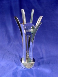mtv1_1-metal-trophy1.jpg