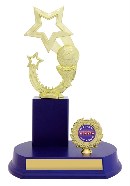 n0181_discount-netball-trophies.jpg