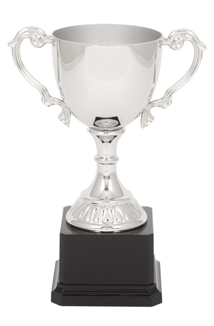 nc01cs_205mm-quality-metal-trophy-cups.jpg