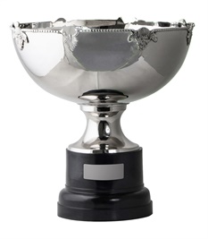 npb-bob290_discount-cup-trophies.jpg