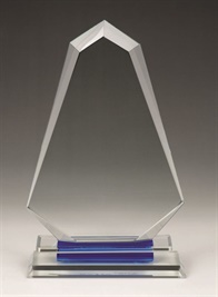 oe039_crystal-trophy-netball-nsw.jpg