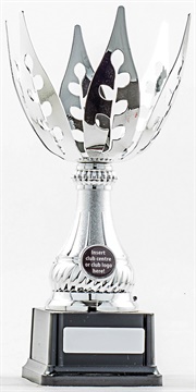 pcy1201_discount-cup-trophies.jpg