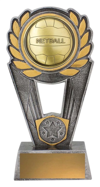 pls191a_discount-netball-trophies.jpg