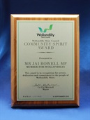 pswp_contemporary-award-plaque.jpg