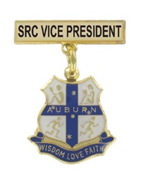 sck-hool-badges---auburn-ps.jpg